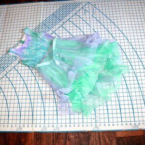 Emily Rose Ombré Princess Dress, Costume, Size 7
